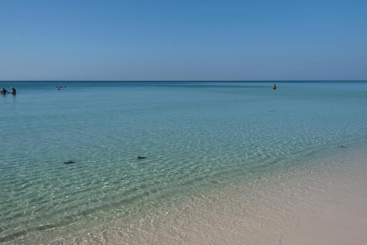 Majestic Sun 1012A Apartment Destin Bagian luar foto